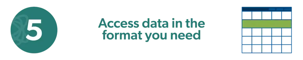 5 Access data in the format you need