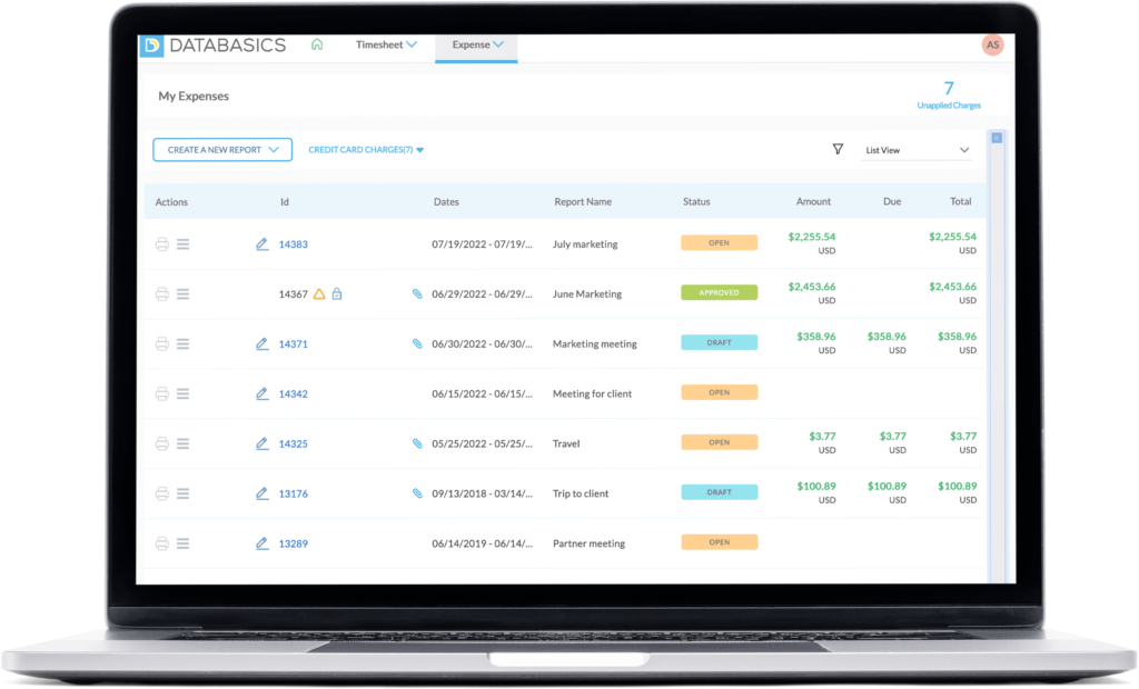 Screenshot of Databasics expense